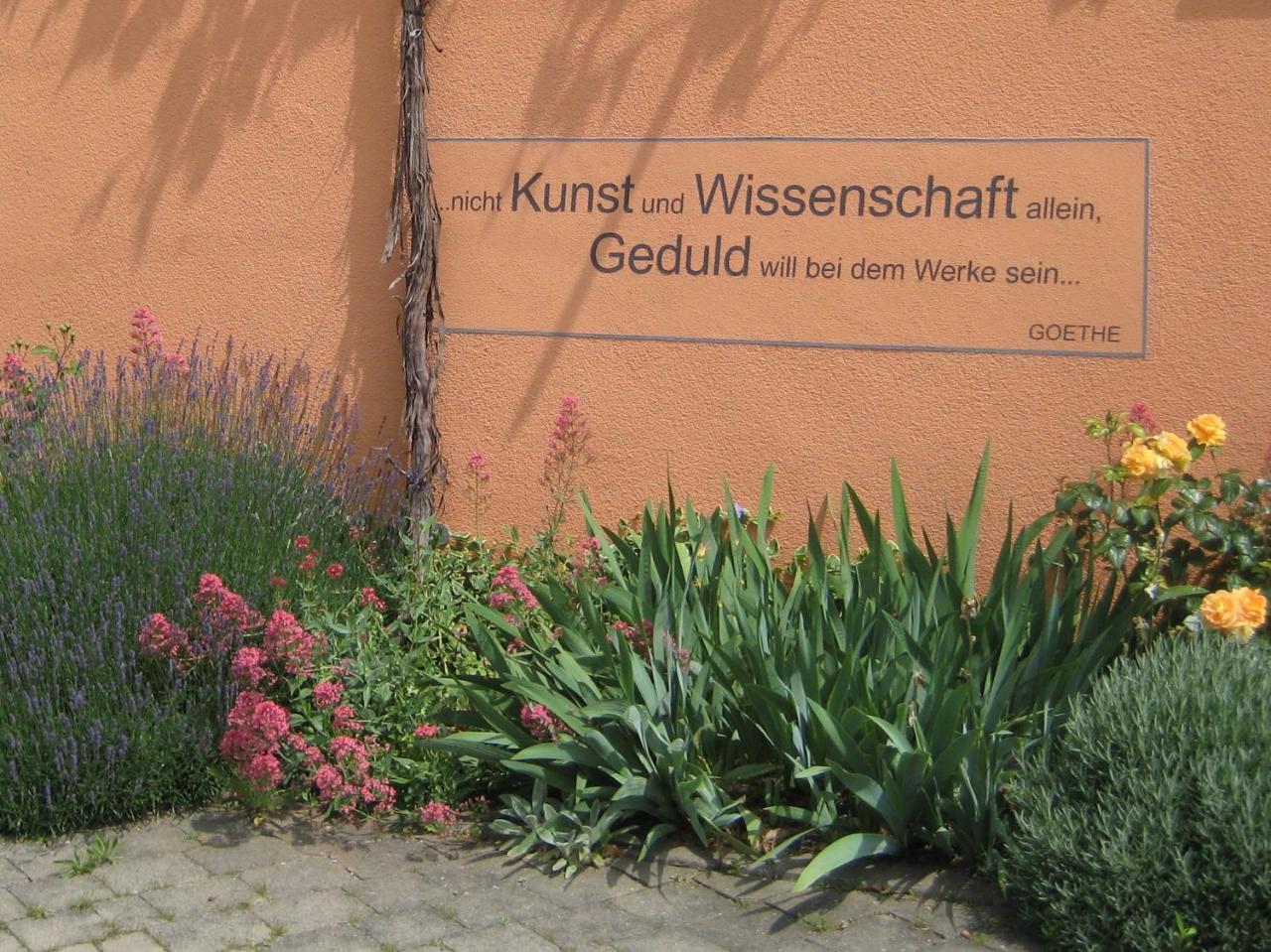 מלון Willanzheim Weinhof Am Nussbaum מראה חיצוני תמונה