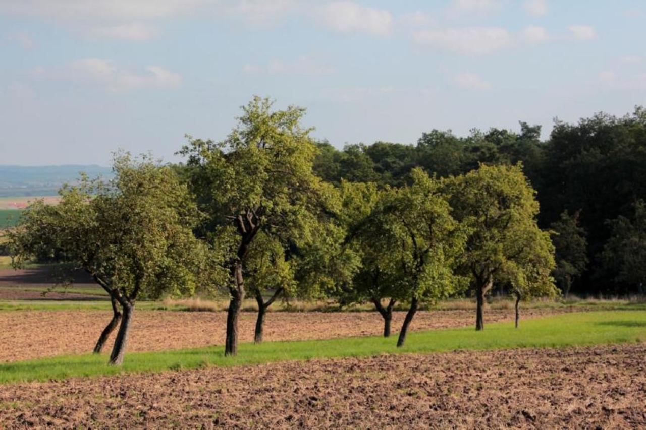 מלון Willanzheim Weinhof Am Nussbaum מראה חיצוני תמונה